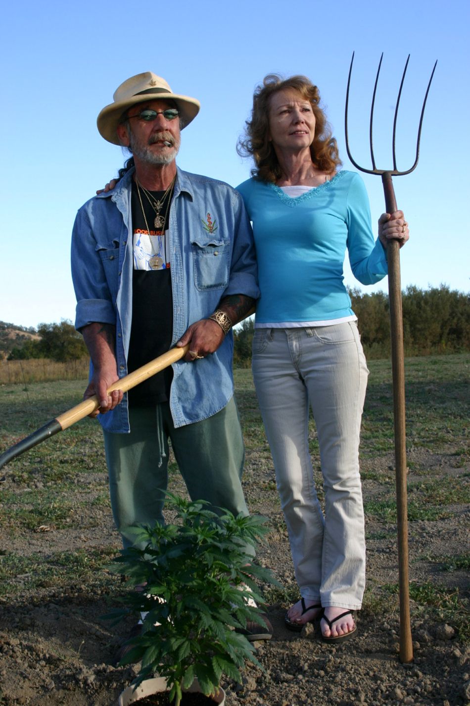 cannabis world news