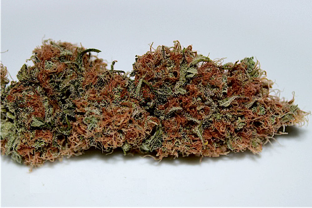 Blue Grapefruit 47 is Actually Quite Red