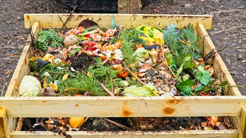Doing This in a Raised Bed would Be My First Choice