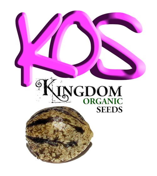Kingdom Organic Seeds