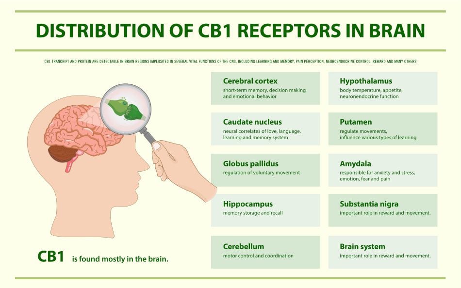 Cannabis world news chart