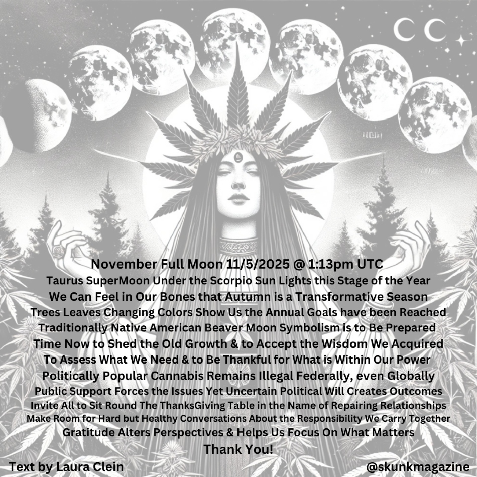 cannabis world news image of cannabis goddess with moon phases
