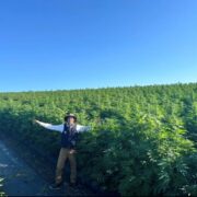 cannabis world news author in a field of cannabis plants