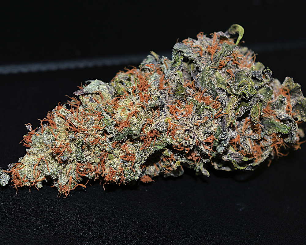 Killer Rev Bud