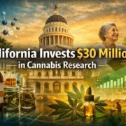 cannabis world news logo