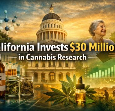 cannabis world news logo