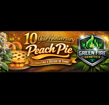 cannabis world news strain reports logo