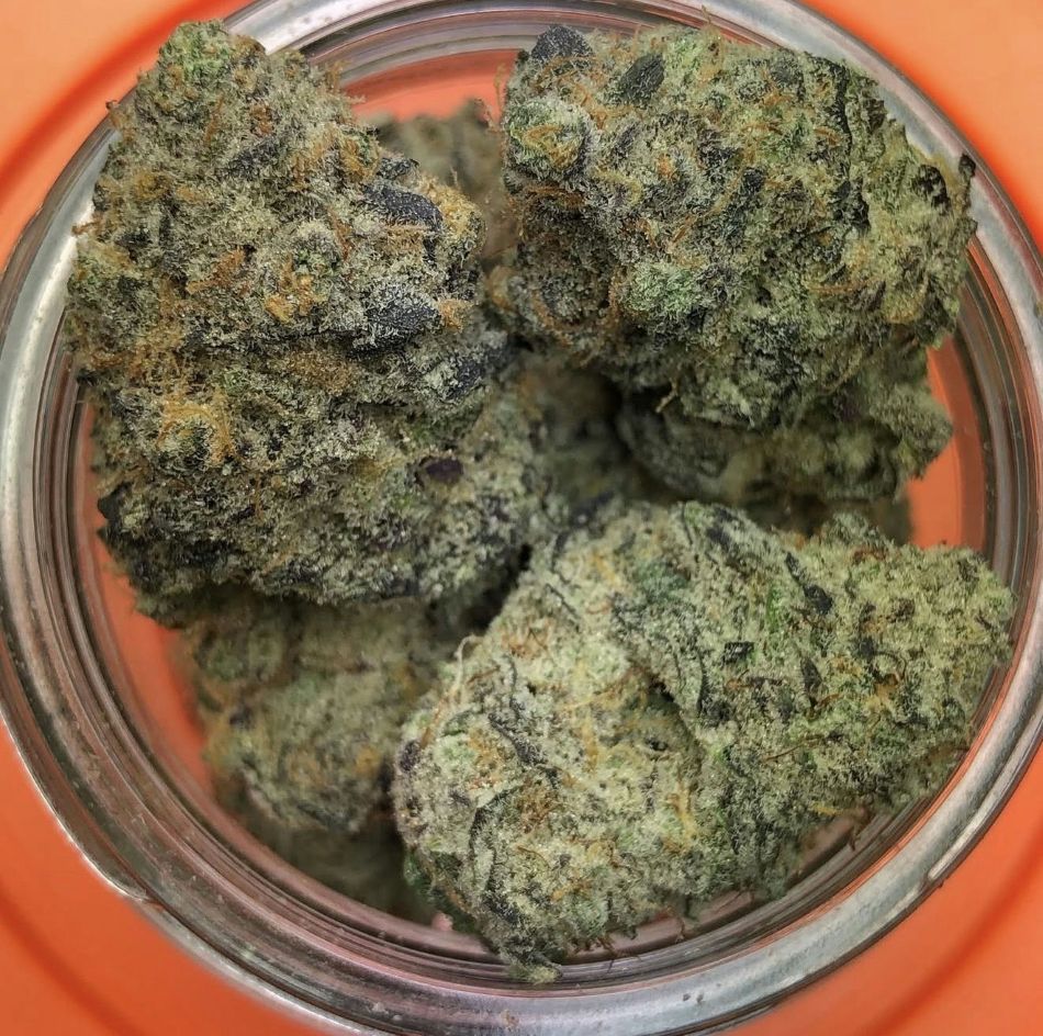 cannabis world news strain reports image of buds in jar