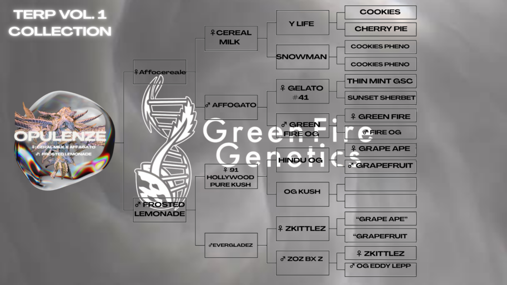 cannabis world news Opulenze Lineage Chart 