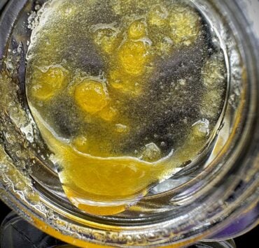cannabis world news image of cannabis resin