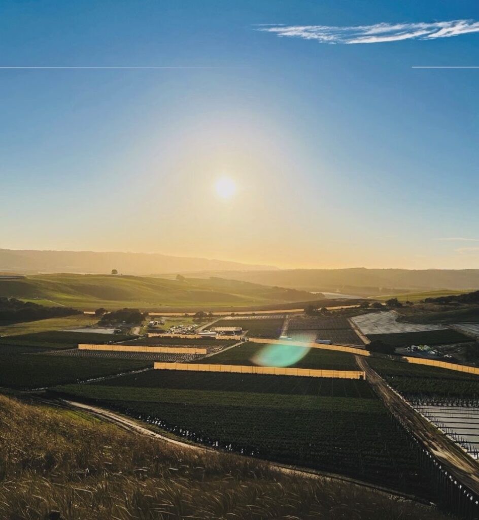 cannabis world news outdoor overhead view of cannabis filled valley