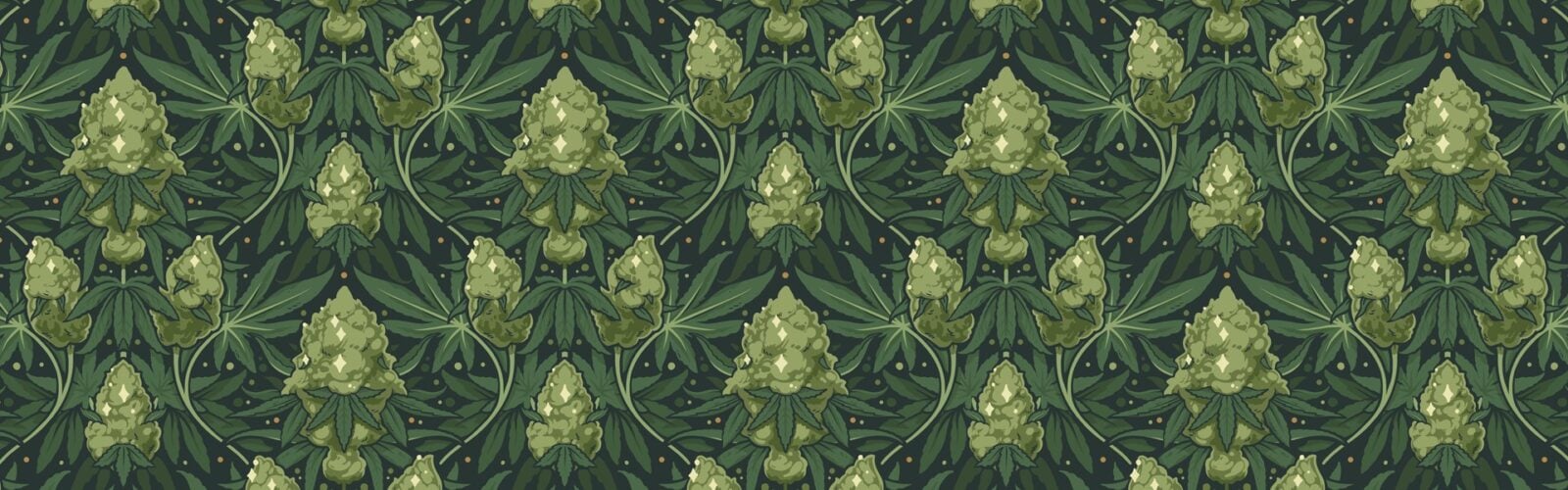 cannabis world news strain reports pattern of cannabis leaves