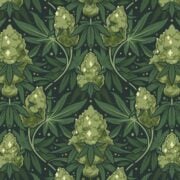 cannabis world news strain reports pattern of cannabis leaves