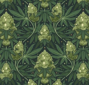 cannabis world news strain reports pattern of cannabis leaves