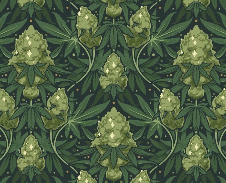 cannabis world news strain reports pattern of cannabis leaves