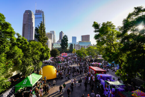 cannabis world news image of festival