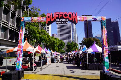 cannabis world news image of festival